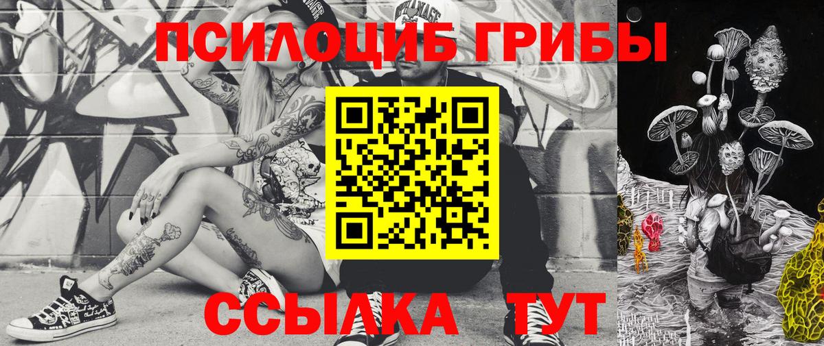 Псилоцибиновые грибы мицелий Светлоград