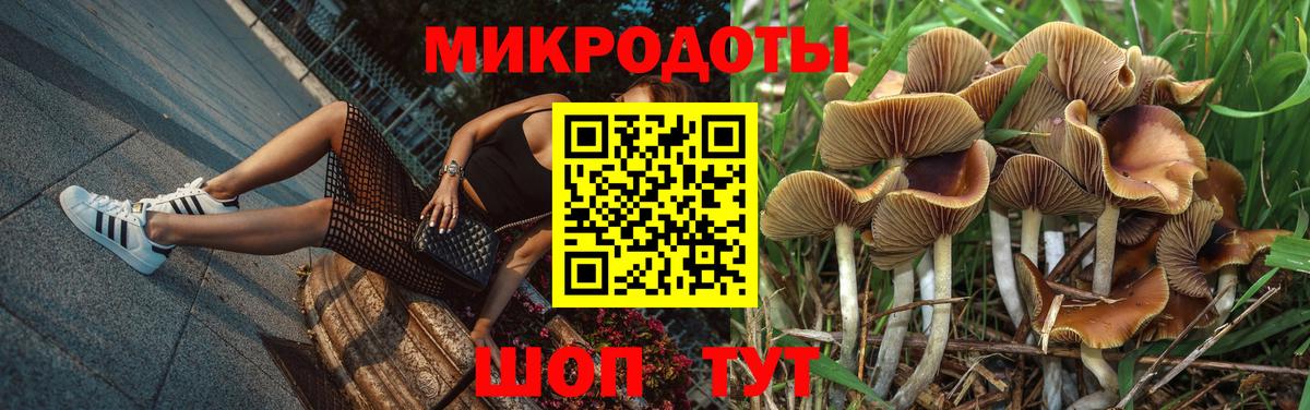 Галлюциногенные грибы Cubensis  Вход с VPN  где купить наркоту  Галлюциногенные грибы мухоморы  Светлоград 